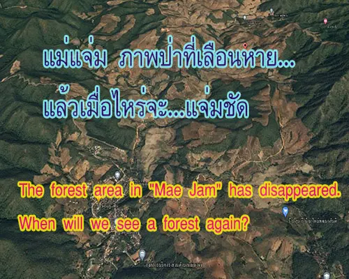 The forest area in "Mae Jam" has disappeared.